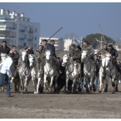 Le Grau du Roi (2013)