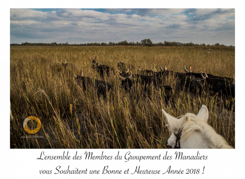 Groupement des Manadiers