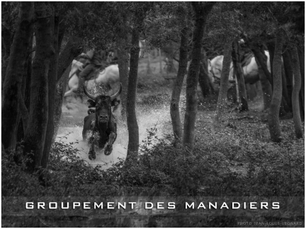 Groupement des Manadiers