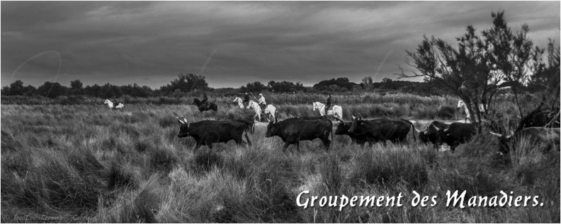 Groupement des Manadiers